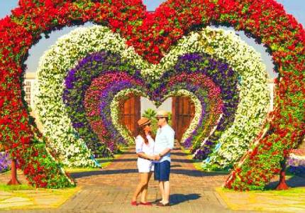 Chandigarh Taxi Service