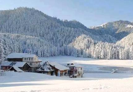 Dalhousie Taxi Service