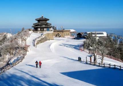 Dalhousie Taxi Service