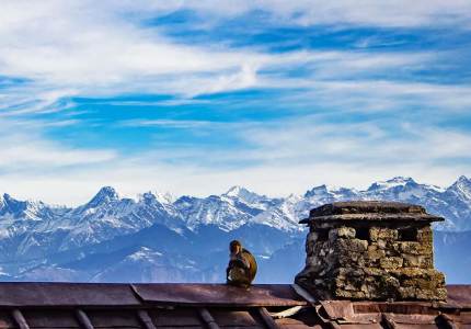 Dalhousie Taxi Service