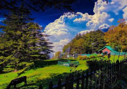 Mini Himachal Adventure: Dalhousie to Dharamshala
