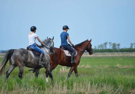 Amritsar Hill Town Adventure