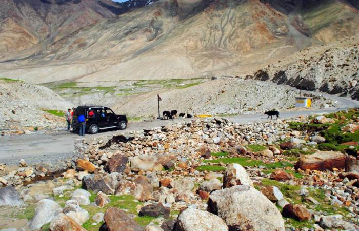 Ladakh Royale: Scenic Journey from Pathankot