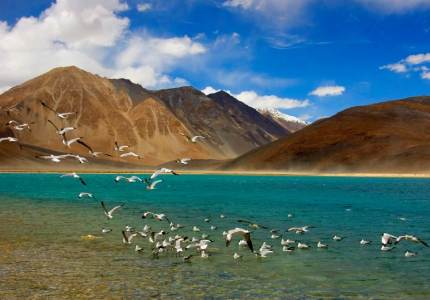 Ladakh Explorer: 6-Day Himalayan Desert Odyssey
