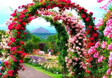 Mountain Drive: Shimla to Manali