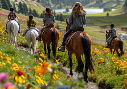 Kashmir Majesty Tour: 9-Days Special