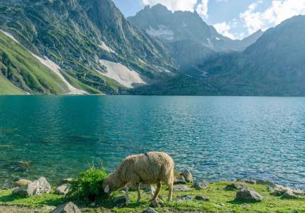 Amritsar to Kashmir 7-Day Bliss Tour